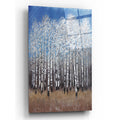 Epic Art 'Cobalt Birches II' by Tim O'Toole, Acrylic Glass Wall Art