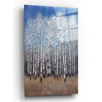 Epic Art 'Cobalt Birches II' by Tim O'Toole, Acrylic Glass Wall Art