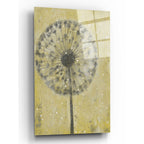 Epic Art 'Dandelion Abstract II' by Tim O'Toole, Acrylic Glass Wall Art