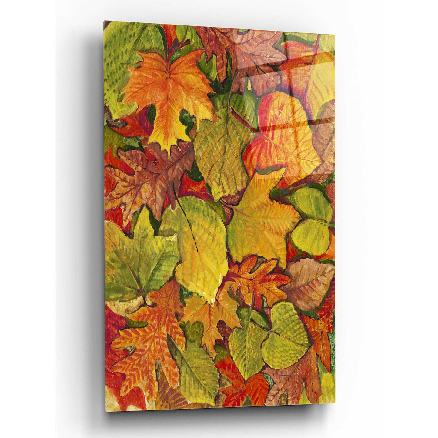 Epic Art 'Fallen Leaves II' by Tim O'Toole, Acrylic Glass Wall Art,12x16