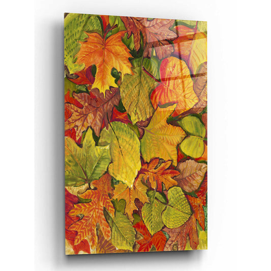 Epic Art 'Fallen Leaves II' by Tim O'Toole, Acrylic Glass Wall Art