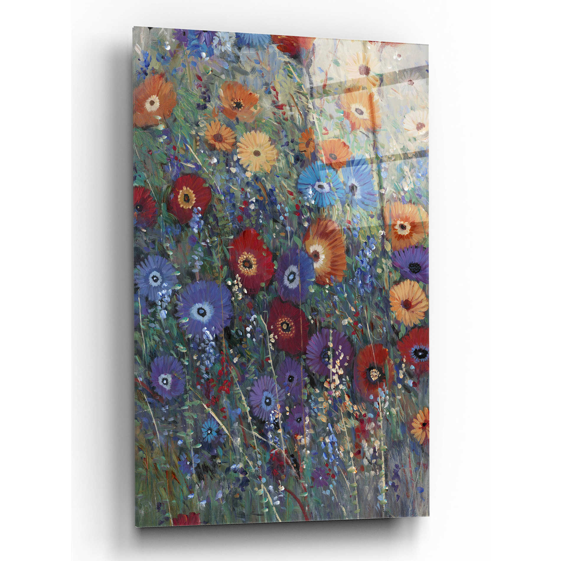 Epic Art 'Flower Patch I' by Tim O'Toole, Acrylic Glass Wall Art,12x16