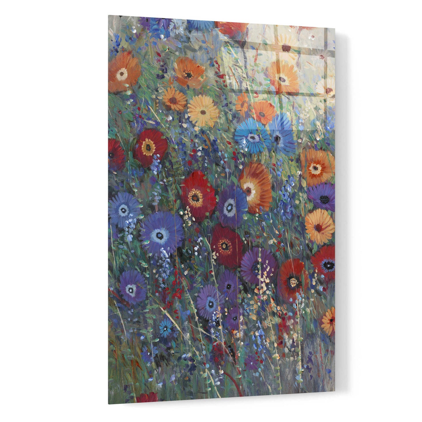 Epic Art 'Flower Patch I' by Tim O'Toole, Acrylic Glass Wall Art,16x24