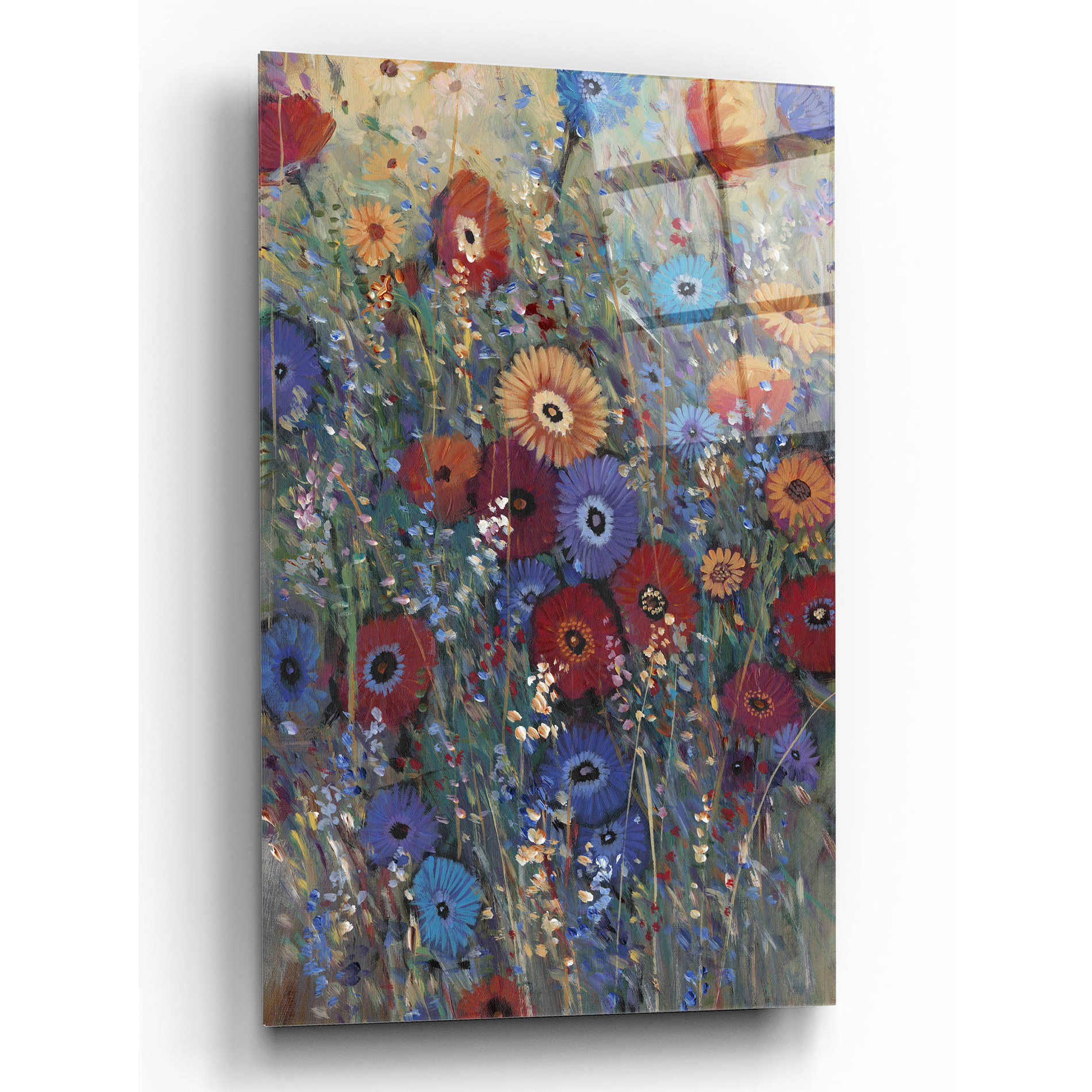 Epic Art 'Flower Patch II' by Tim O'Toole, Acrylic Glass Wall Art,12x16