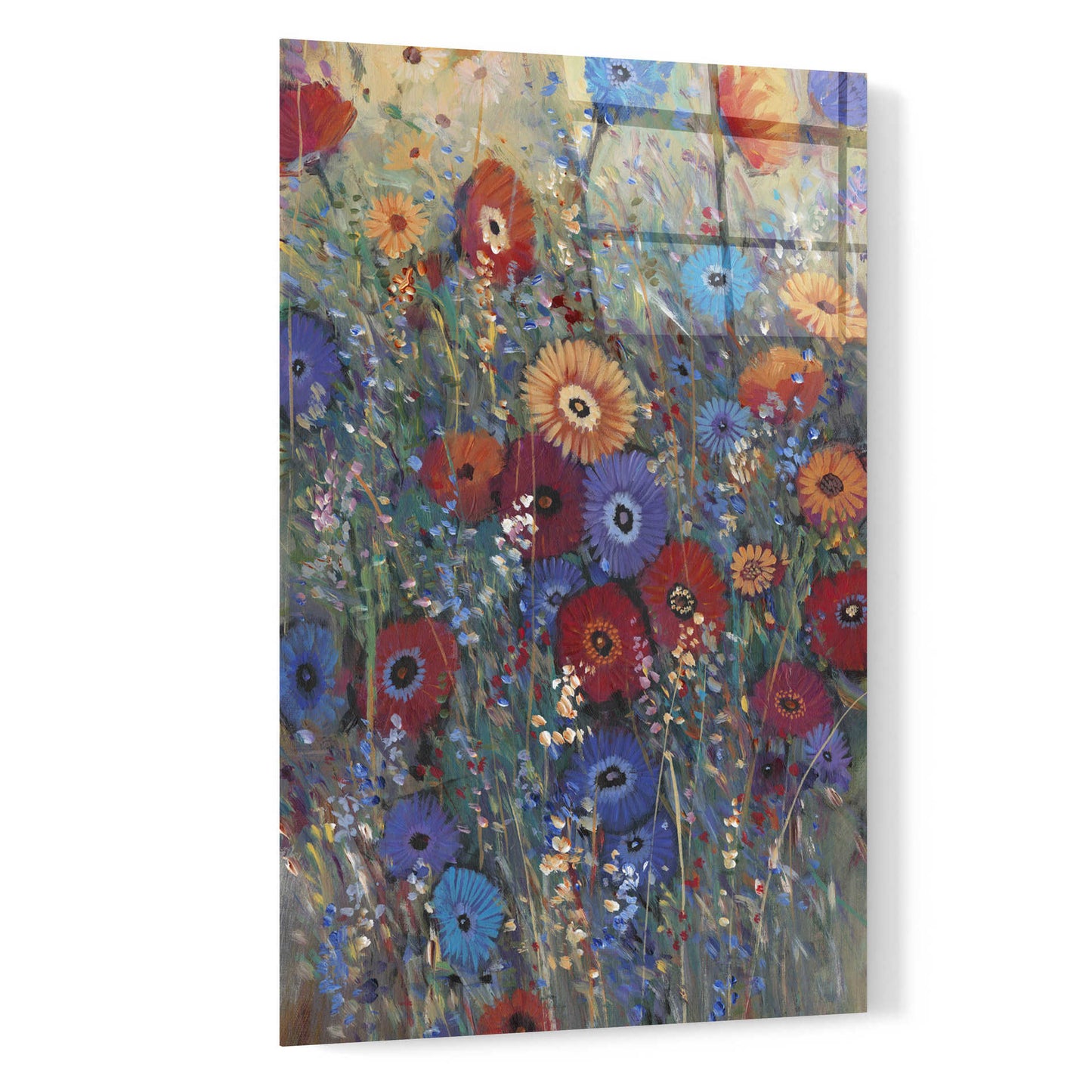 Epic Art 'Flower Patch II' by Tim O'Toole, Acrylic Glass Wall Art,16x24