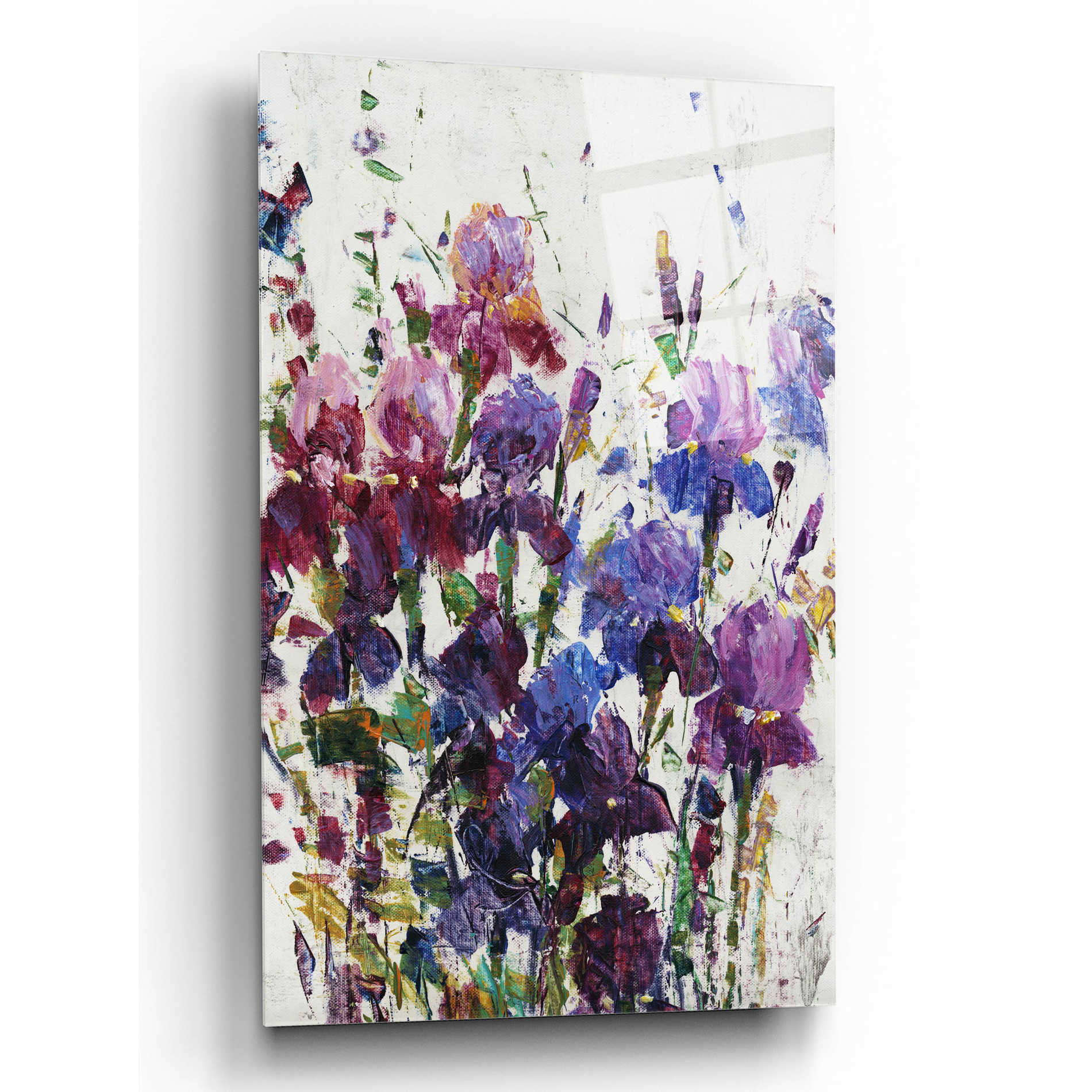 Epic Art 'Iris Blooming I' by Tim O'Toole, Acrylic Glass Wall Art,12x16