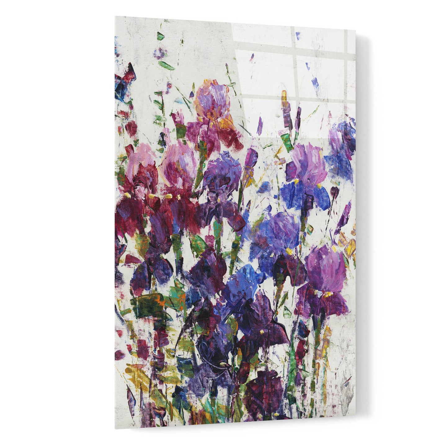 Epic Art 'Iris Blooming I' by Tim O'Toole, Acrylic Glass Wall Art,16x24