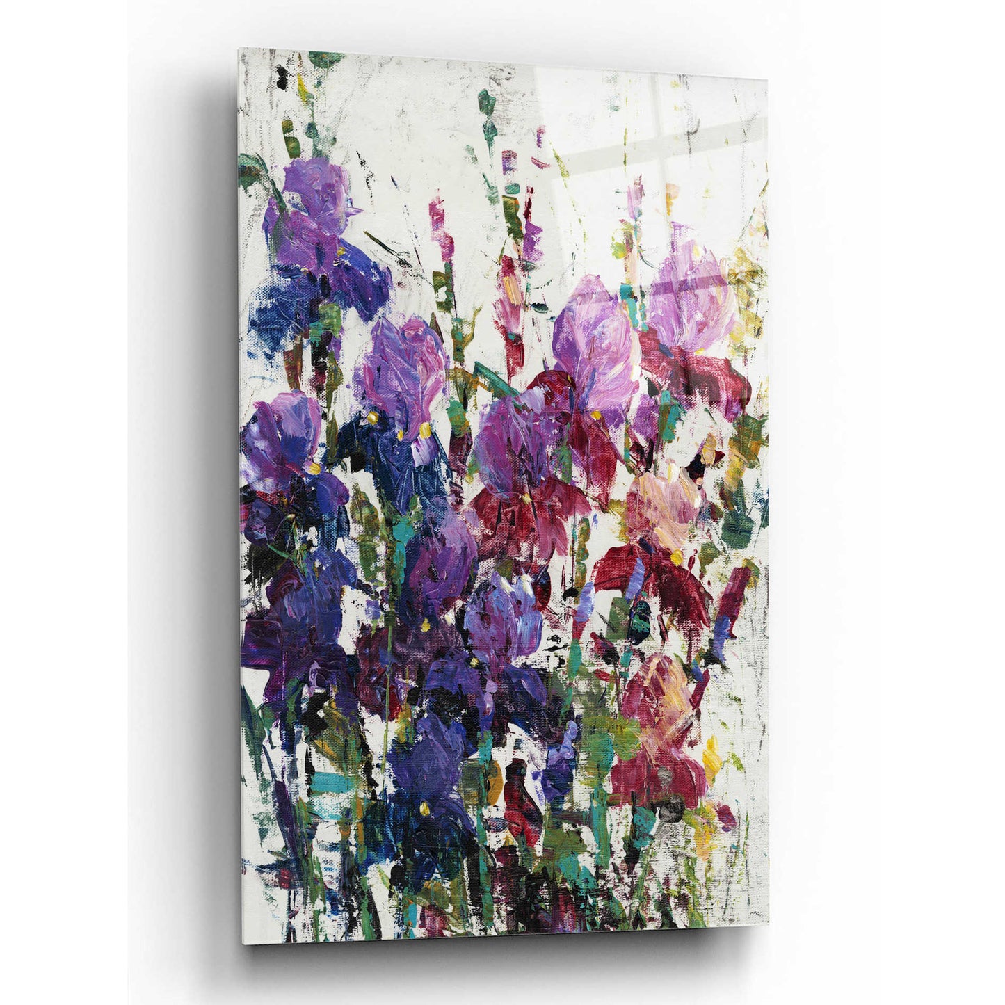 Epic Art 'Iris Blooming II' by Tim O'Toole, Acrylic Glass Wall Art,12x16