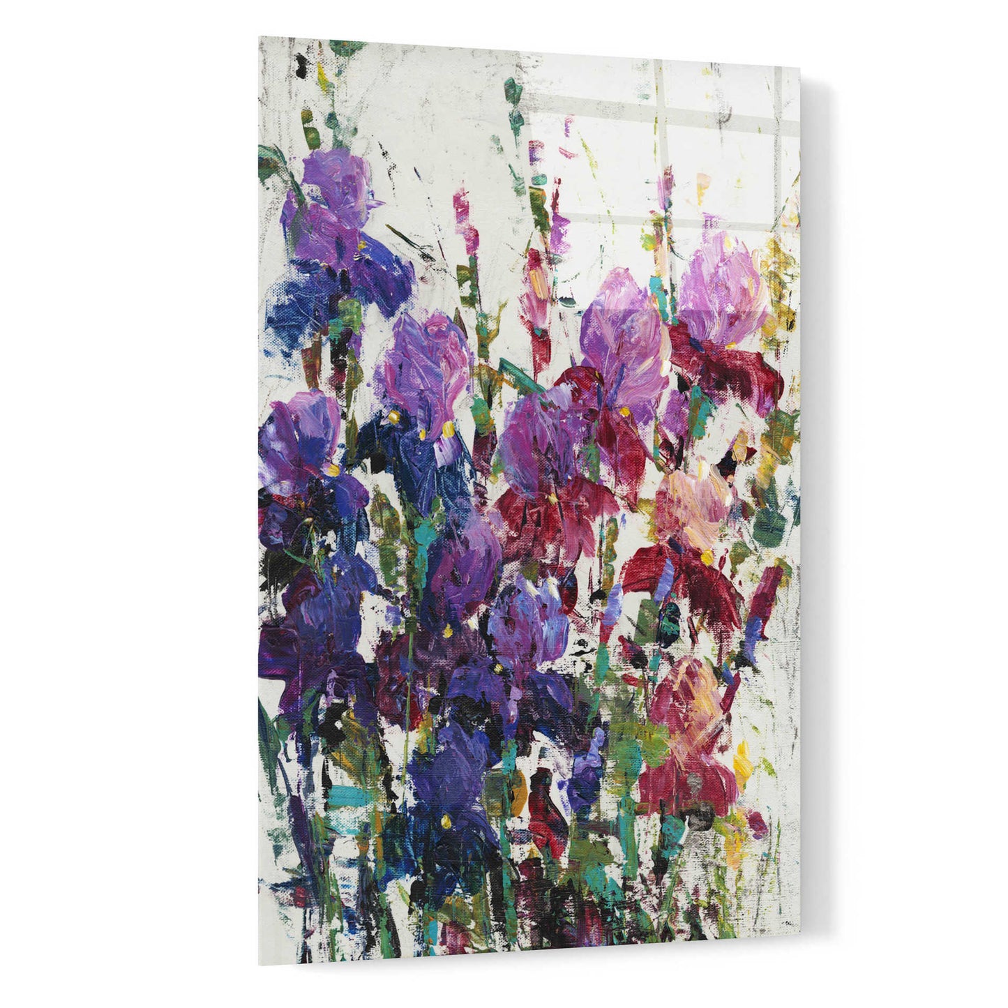 Epic Art 'Iris Blooming II' by Tim O'Toole, Acrylic Glass Wall Art,16x24