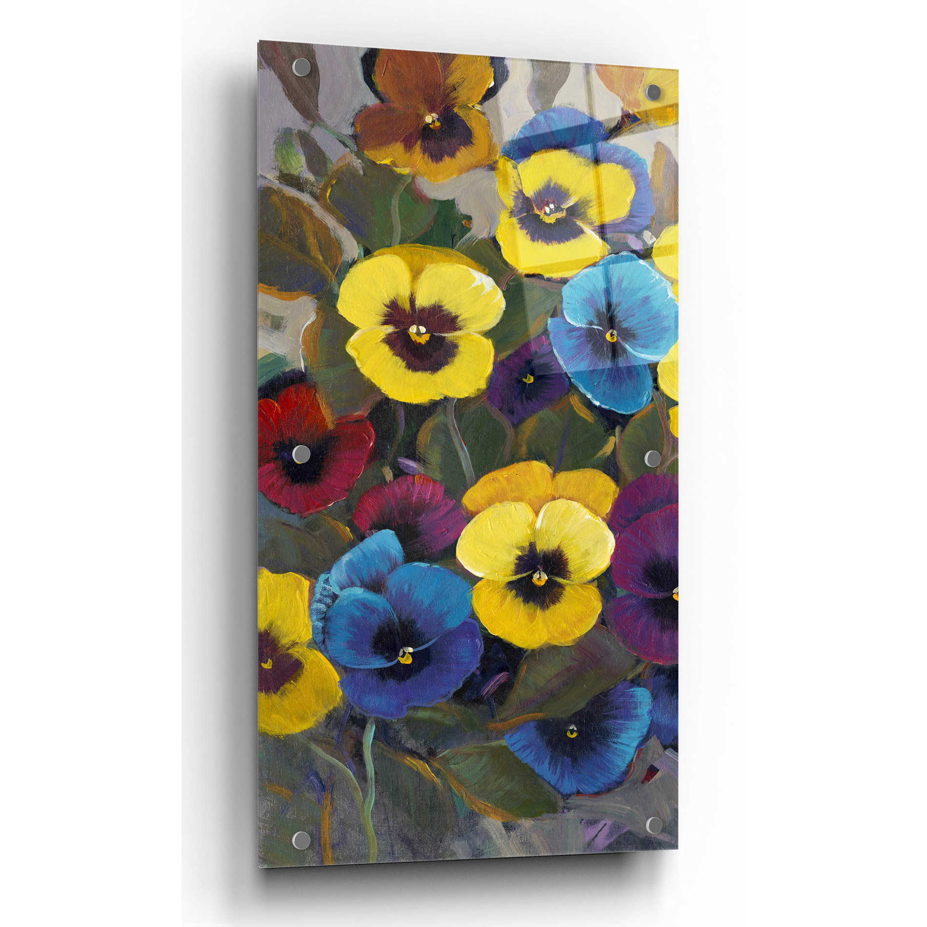 Epic Art 'Pansy Panel I' by Tim O'Toole, Acrylic Glass Wall Art,12x24