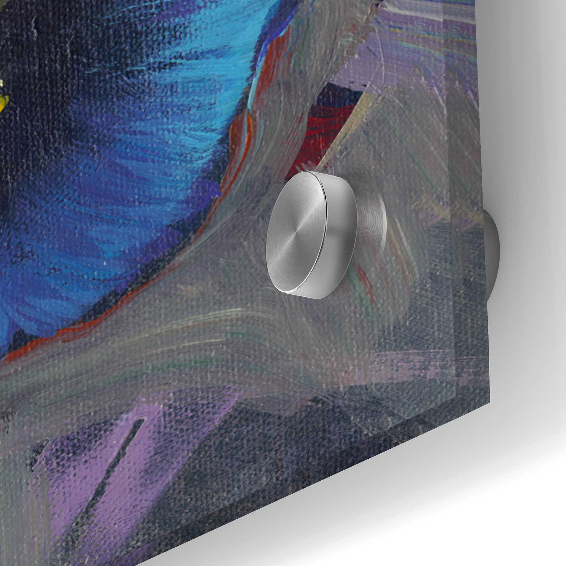 Epic Art 'Pansy Panel I' by Tim O'Toole, Acrylic Glass Wall Art,24x48