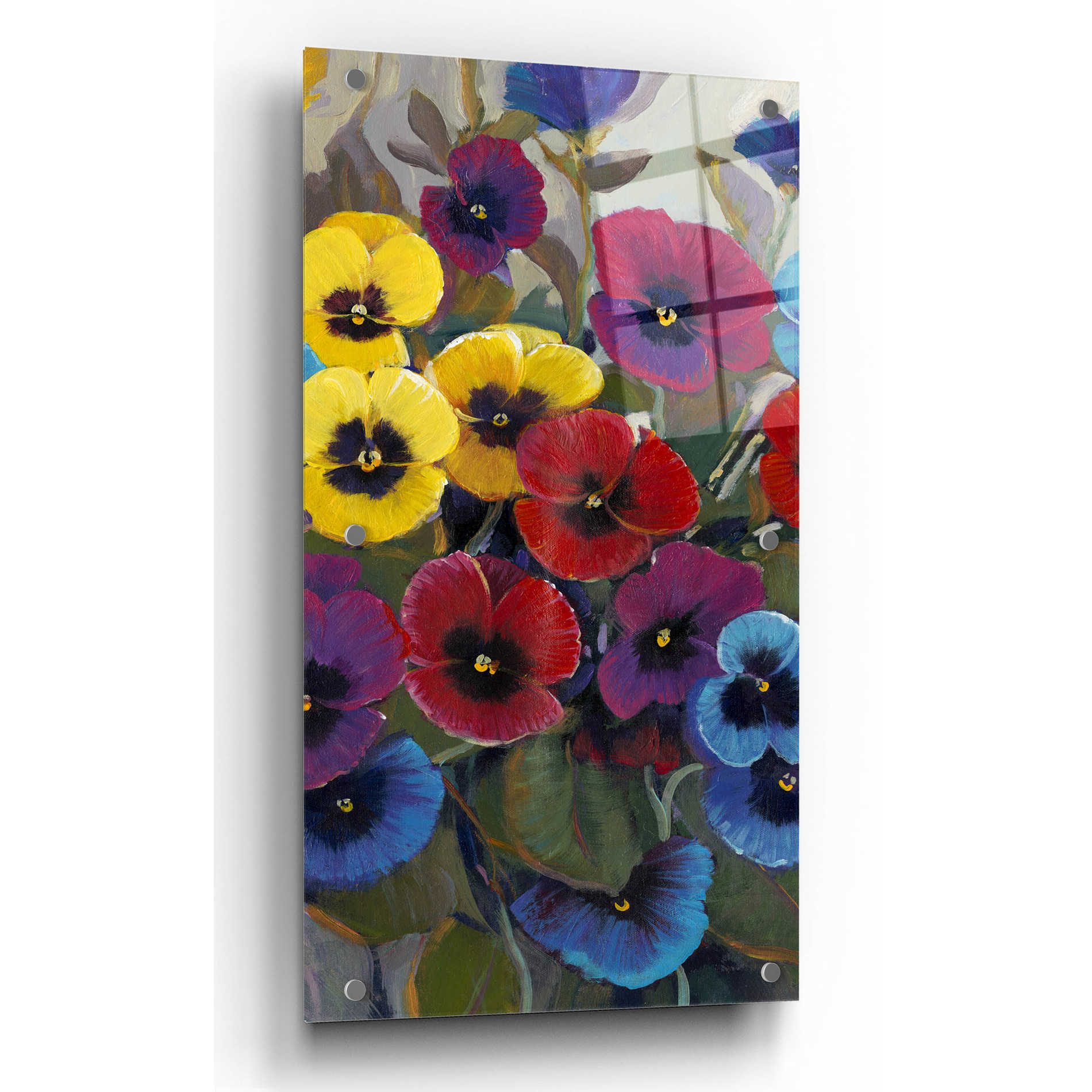 Epic Art 'Pansy Panel II' by Tim O'Toole, Acrylic Glass Wall Art,12x24