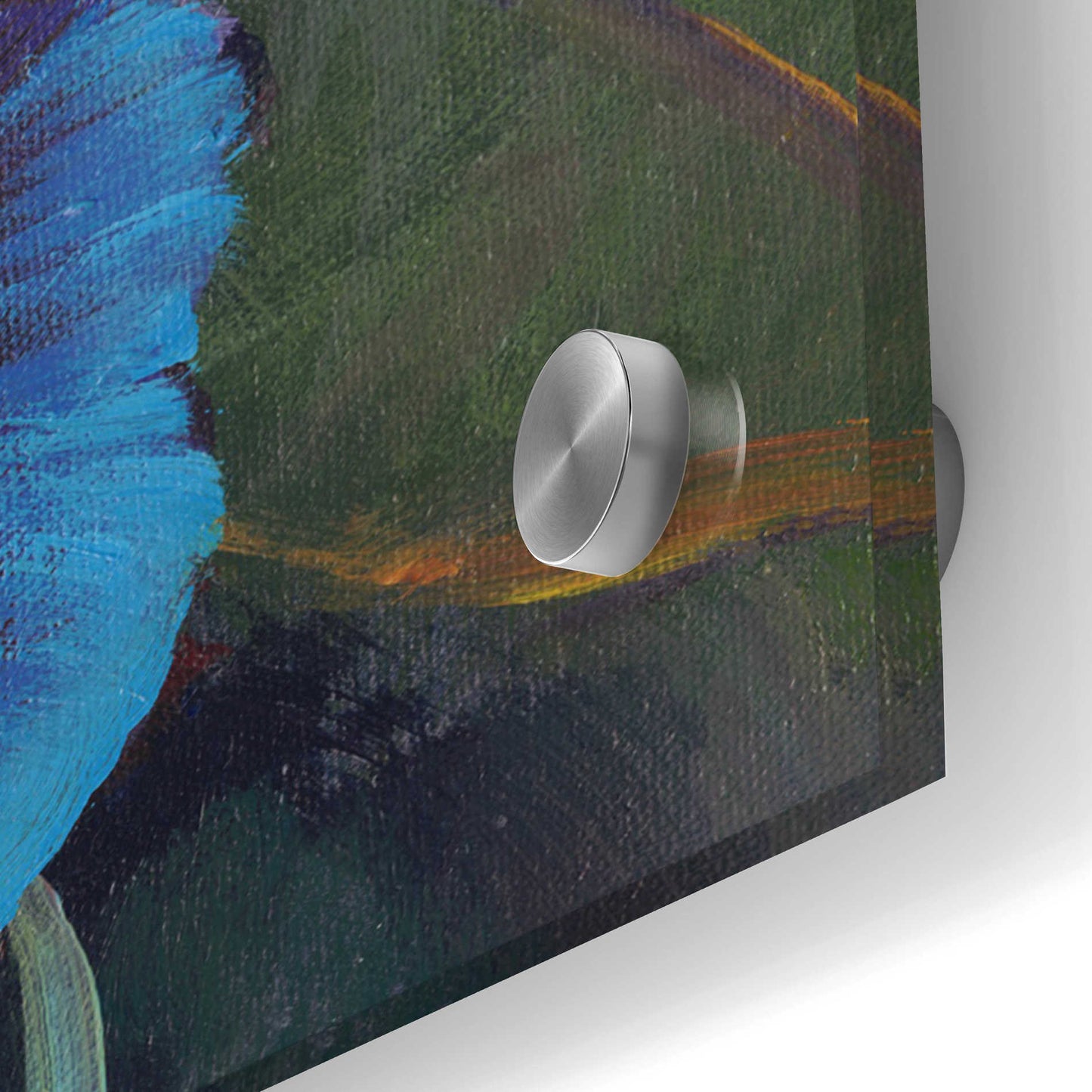 Epic Art 'Pansy Panel II' by Tim O'Toole, Acrylic Glass Wall Art,24x48