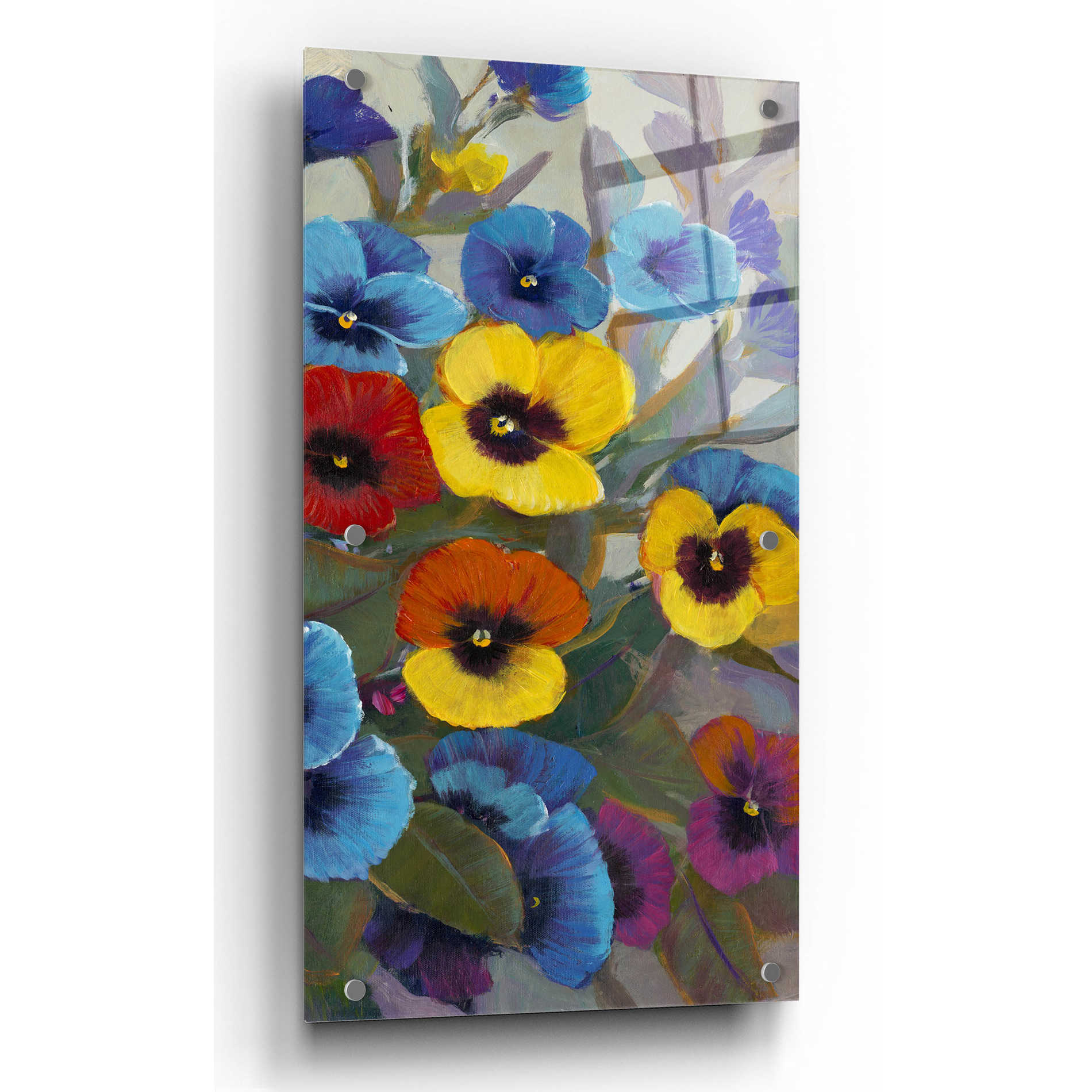 Epic Art 'Pansy Panel III' by Tim O'Toole, Acrylic Glass Wall Art,12x24