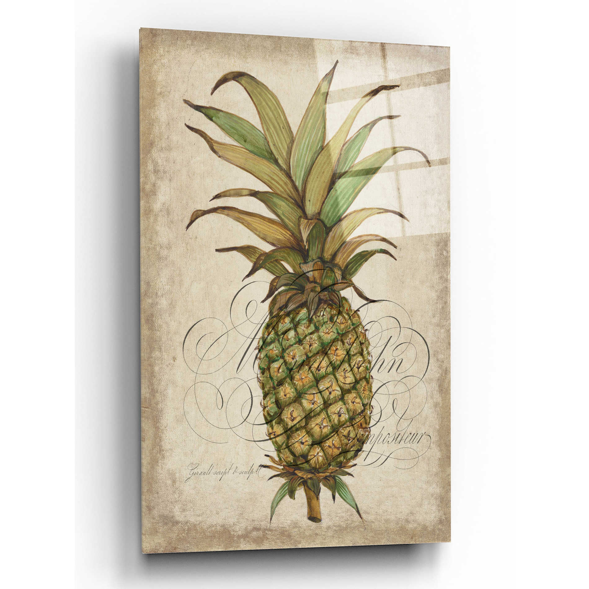 Epic Art 'Pineapple Study I' by Tim O'Toole, Acrylic Glass Wall Art,12x16