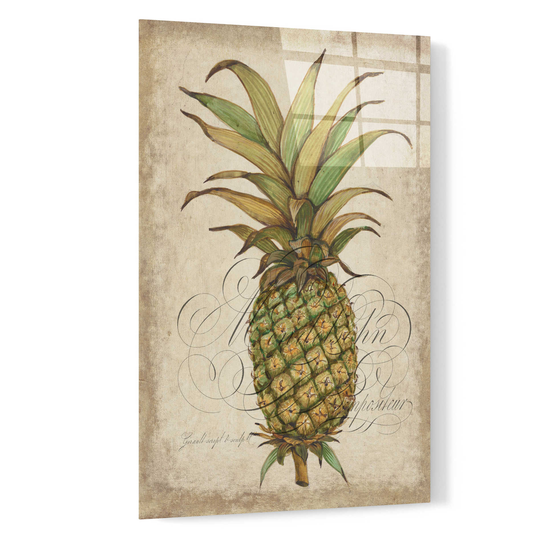 Epic Art 'Pineapple Study I' by Tim O'Toole, Acrylic Glass Wall Art,16x24