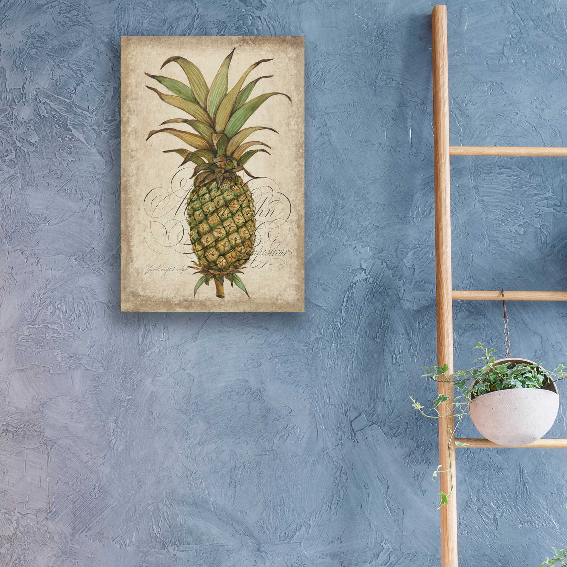 Epic Art 'Pineapple Study I' by Tim O'Toole, Acrylic Glass Wall Art,16x24