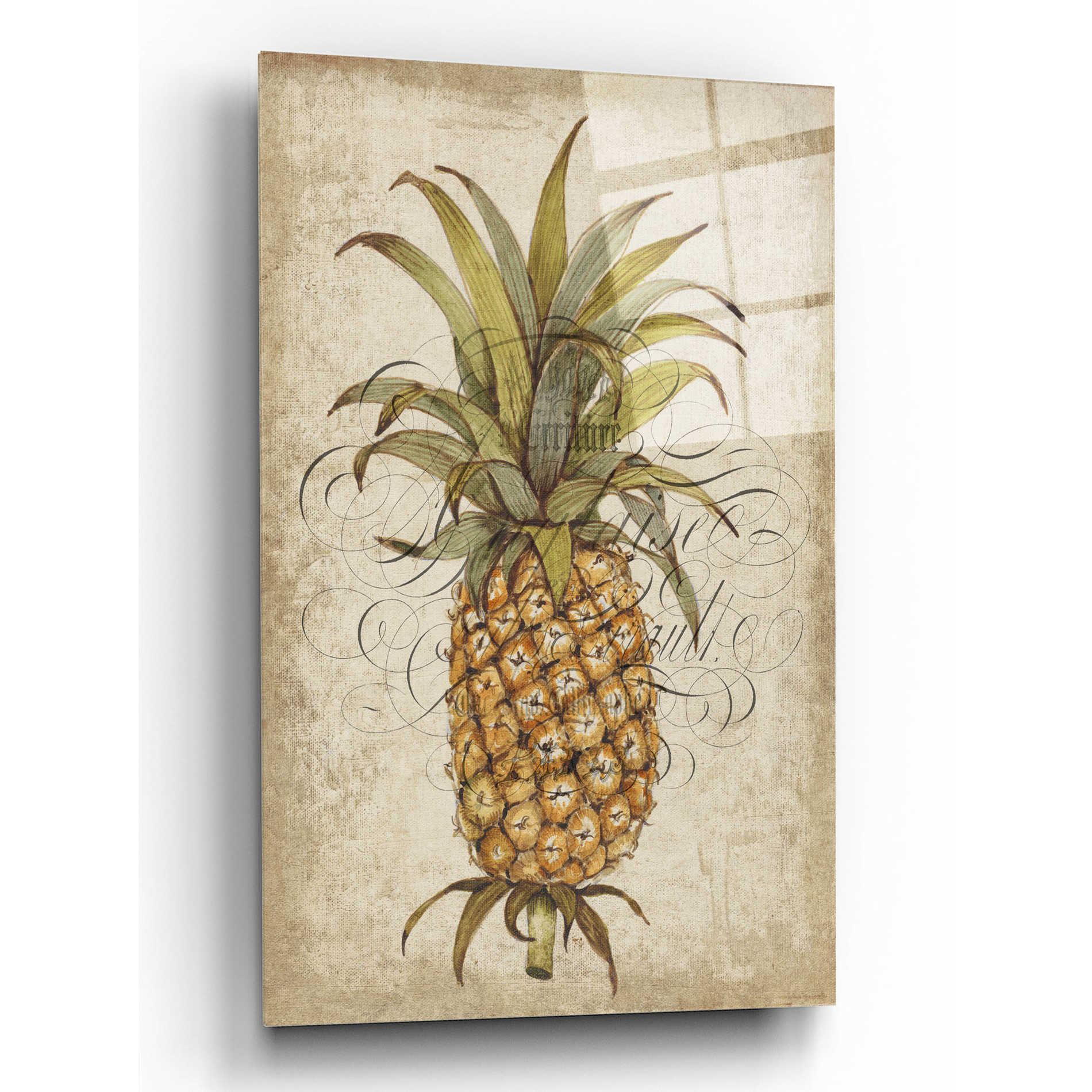 Epic Art 'Pineapple Study II' by Tim O'Toole, Acrylic Glass Wall Art,12x16