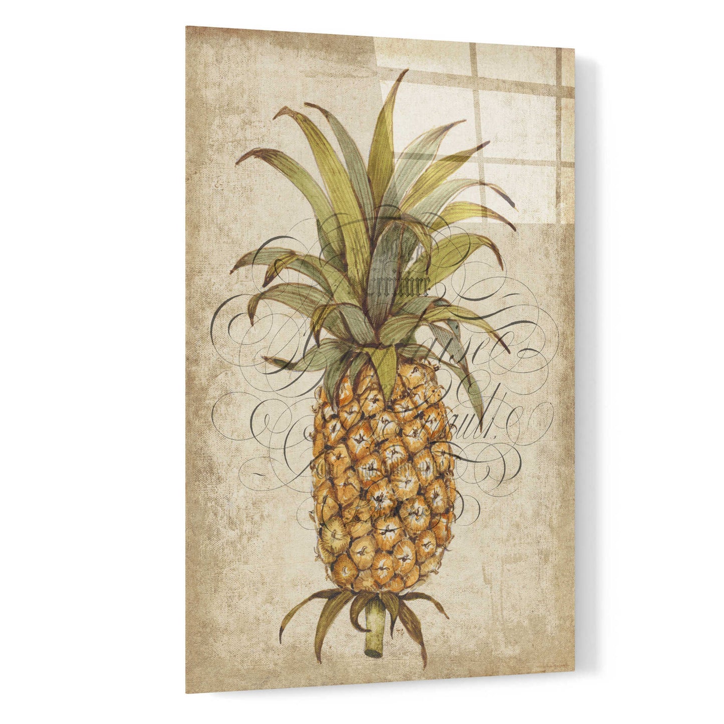 Epic Art 'Pineapple Study II' by Tim O'Toole, Acrylic Glass Wall Art,16x24