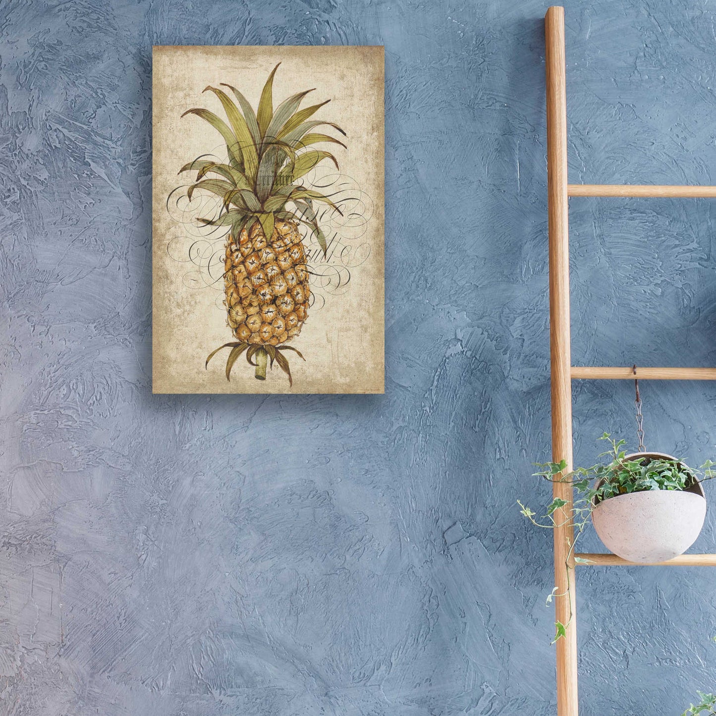 Epic Art 'Pineapple Study II' by Tim O'Toole, Acrylic Glass Wall Art,16x24