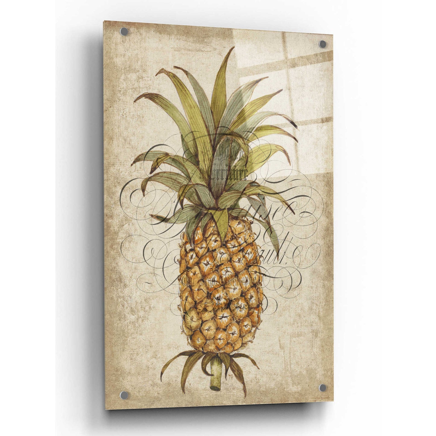 Epic Art 'Pineapple Study II' by Tim O'Toole, Acrylic Glass Wall Art,24x36