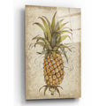 Epic Art 'Pineapple Study II' by Tim O'Toole, Acrylic Glass Wall Art