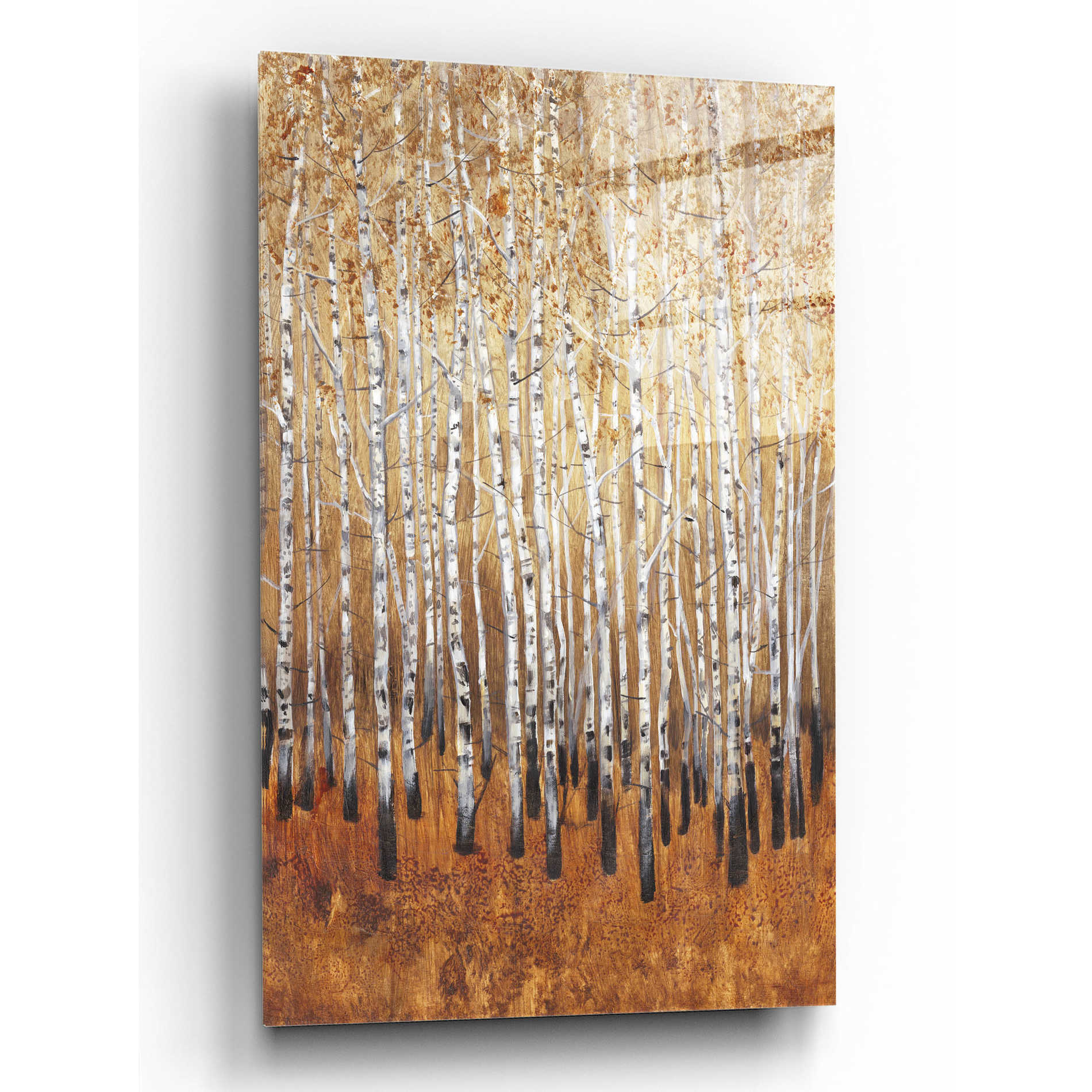 Epic Art 'Sienna Birches I' by Tim O'Toole, Acrylic Glass Wall Art,12x16