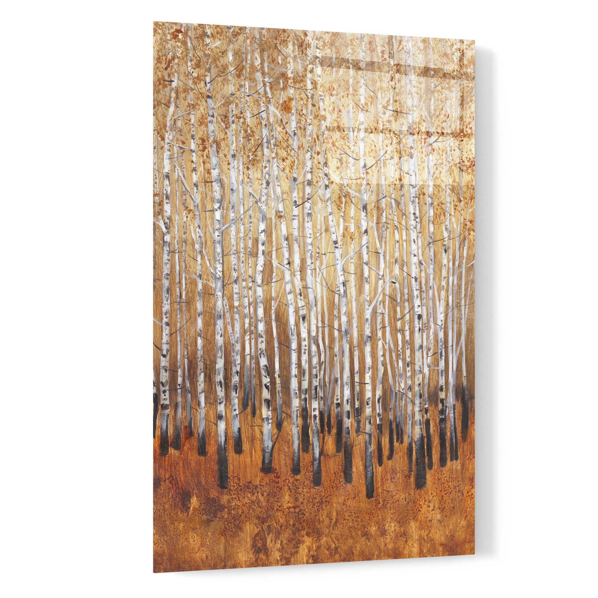 Epic Art 'Sienna Birches I' by Tim O'Toole, Acrylic Glass Wall Art,16x24