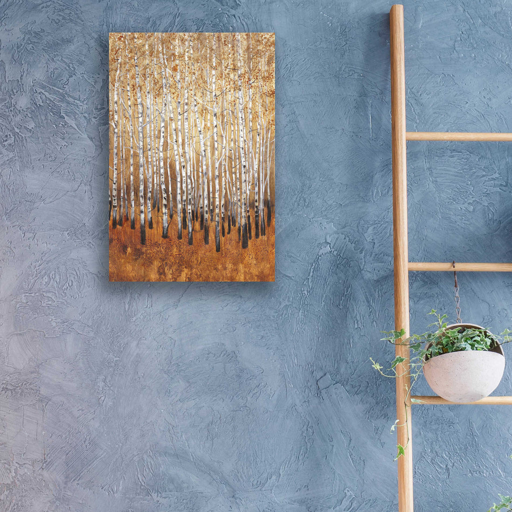 Epic Art 'Sienna Birches I' by Tim O'Toole, Acrylic Glass Wall Art,16x24