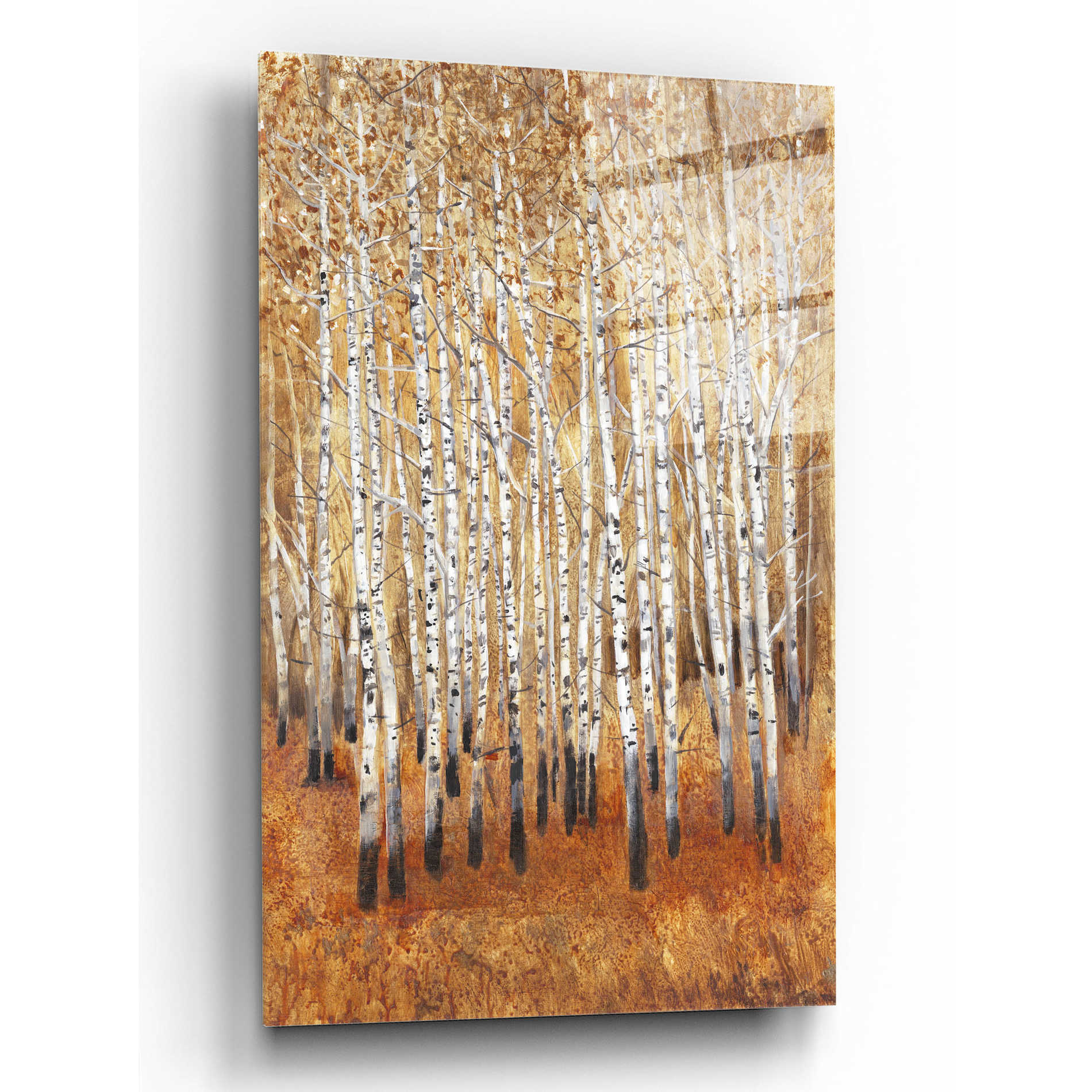 Epic Art 'Sienna Birches II' by Tim O'Toole, Acrylic Glass Wall Art,12x16