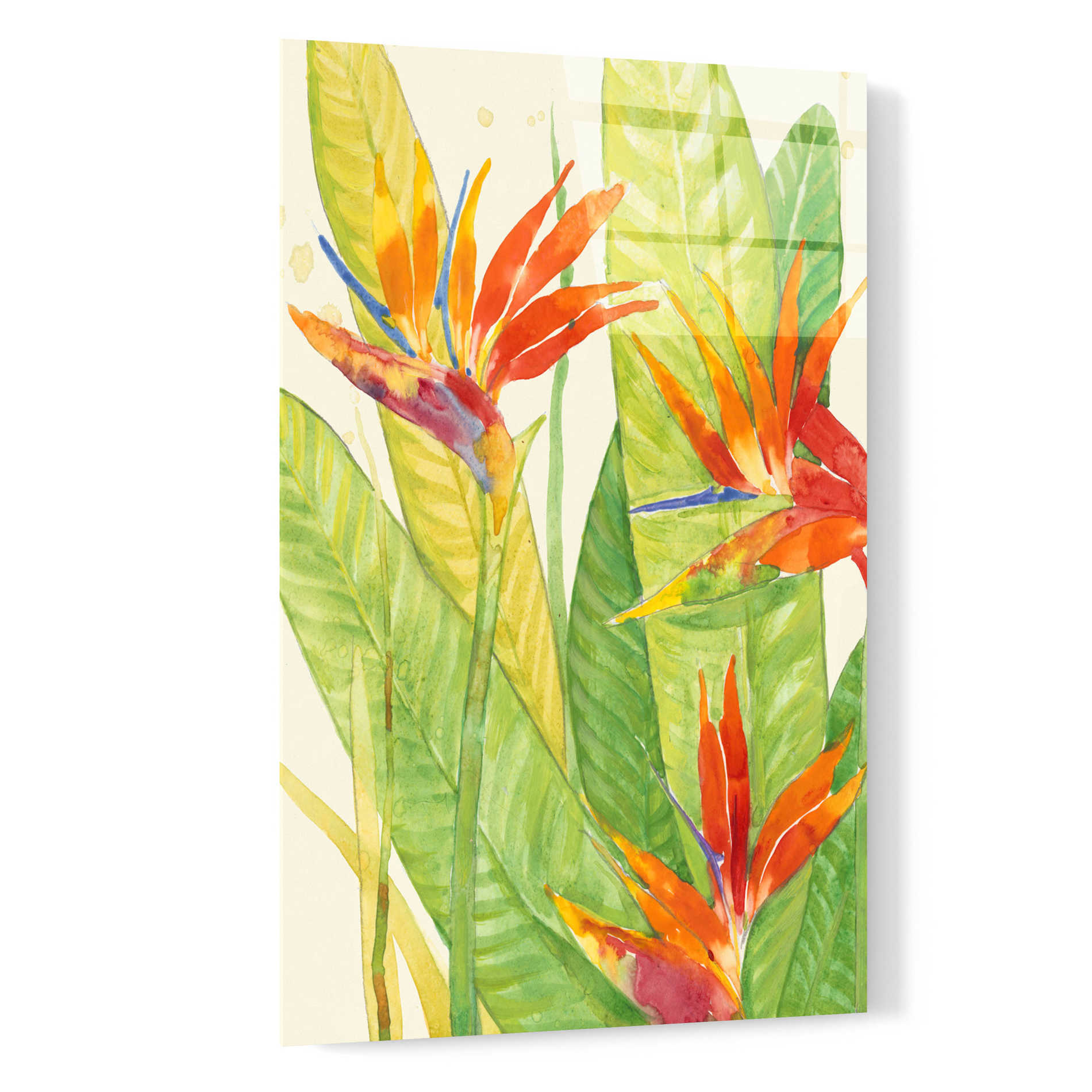 Epic Art 'Watercolor Tropical Flowers III' by Tim O'Toole, Acrylic Glass Wall Art,16x24