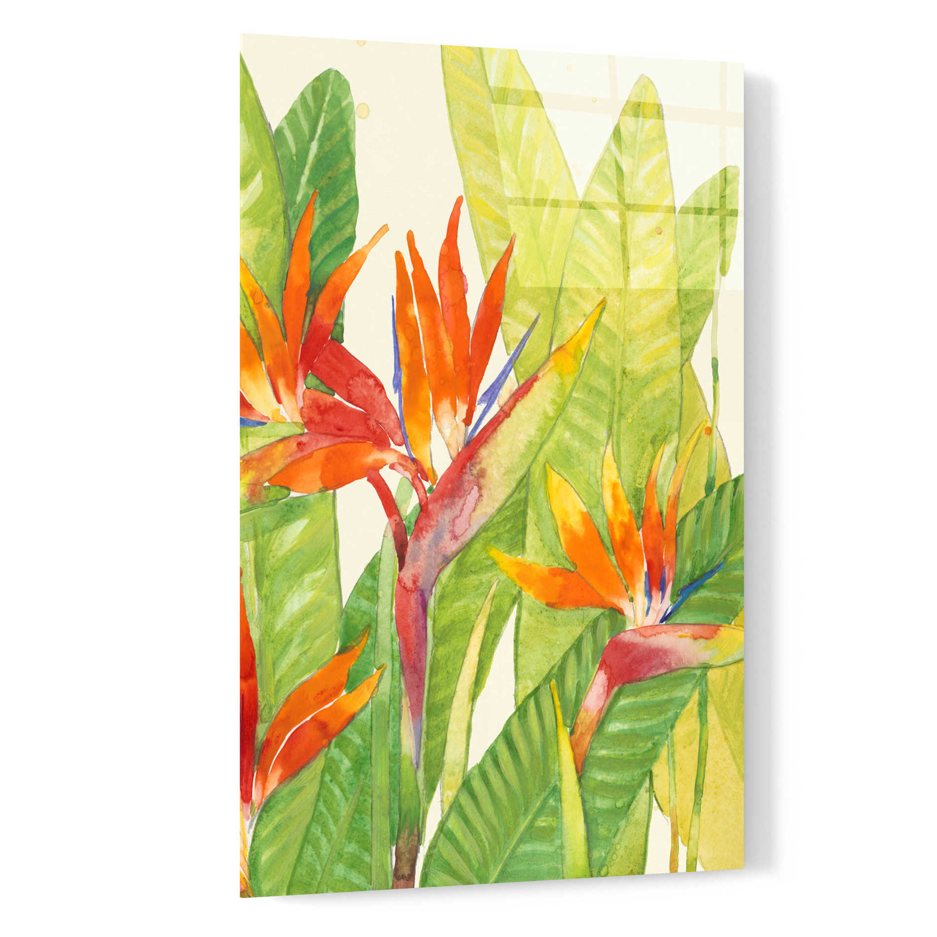 Epic Art 'Watercolor Tropical Flowers IV' by Tim O'Toole, Acrylic Glass Wall Art,16x24