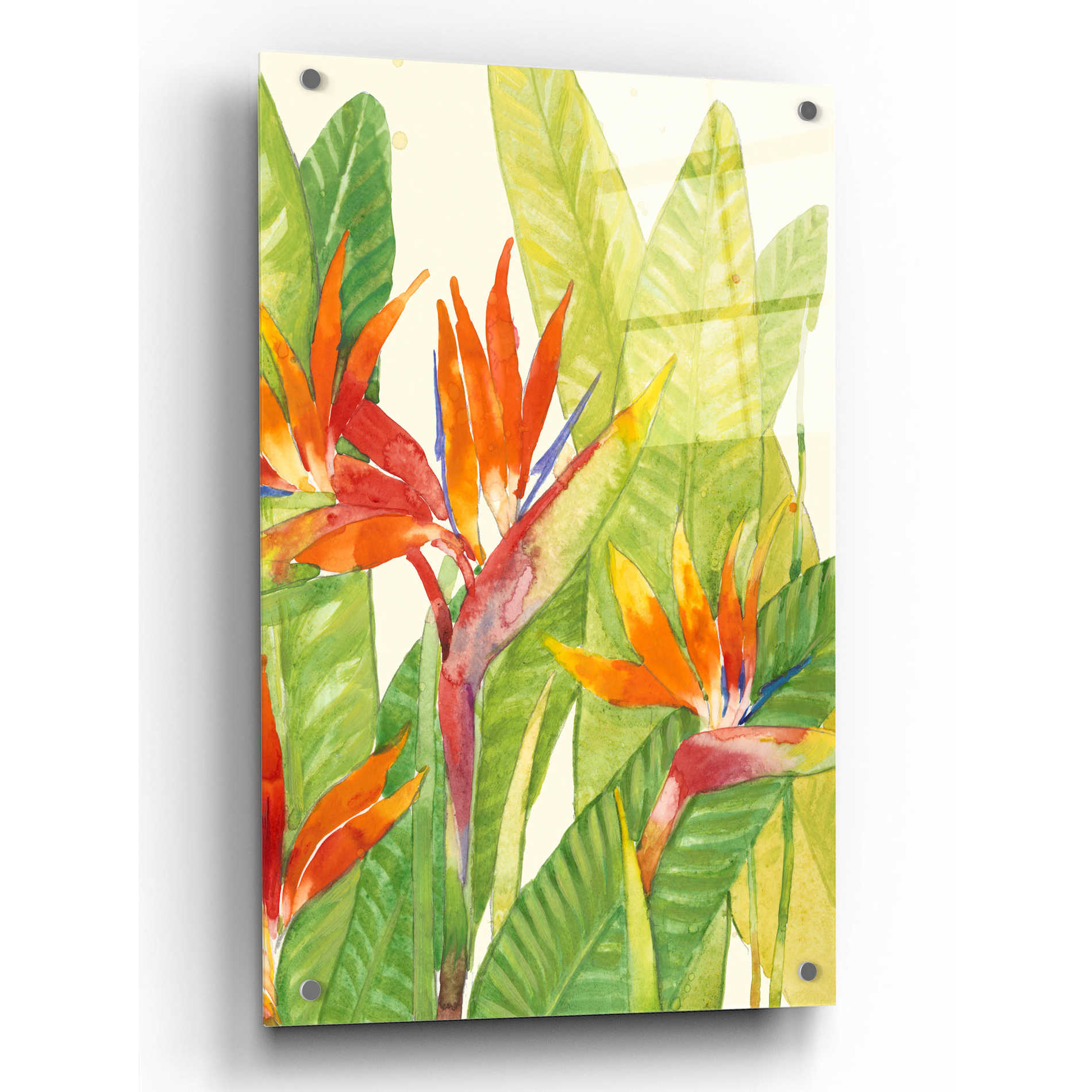 Epic Art 'Watercolor Tropical Flowers IV' by Tim O'Toole, Acrylic Glass Wall Art,24x36