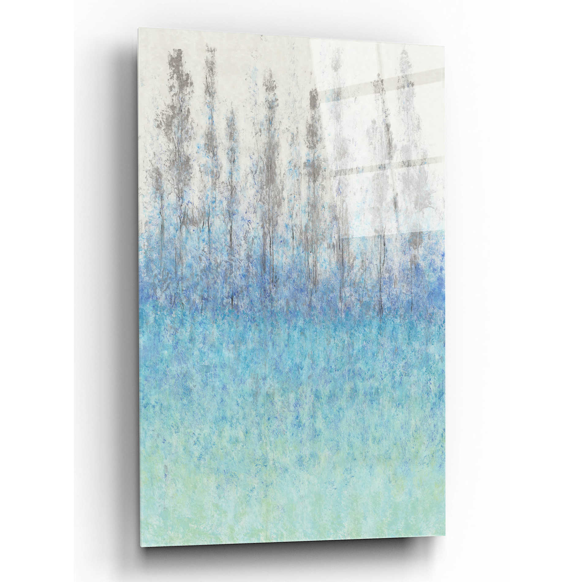 Epic Art 'Cypress Border I' by Tim O'Toole, Acrylic Glass Wall Art,12x16