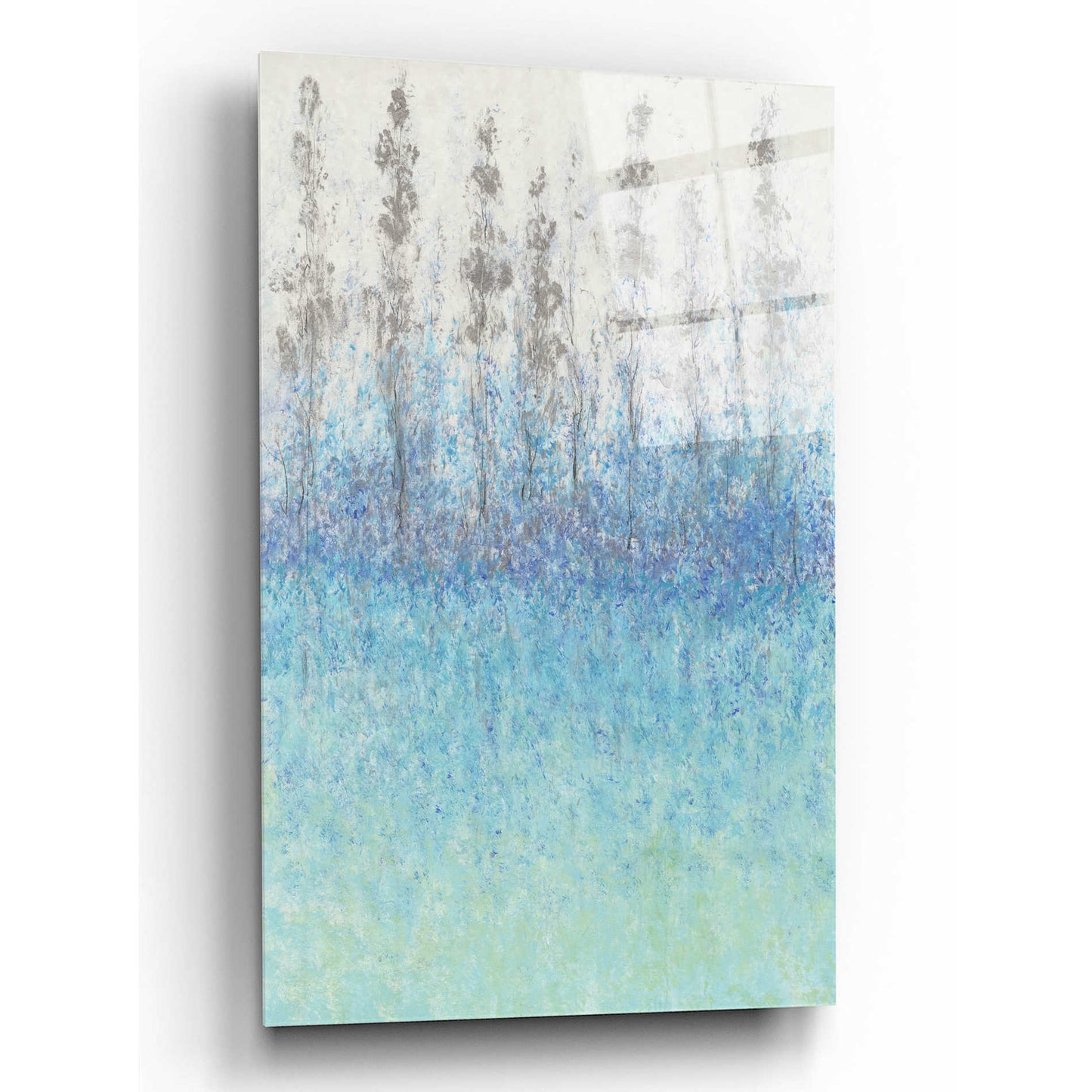 Epic Art 'Cypress Border II' by Tim O'Toole, Acrylic Glass Wall Art,12x16