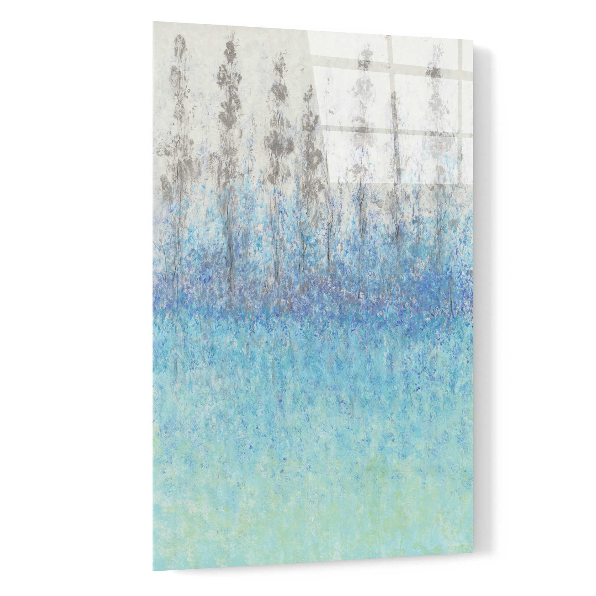 Epic Art 'Cypress Border II' by Tim O'Toole, Acrylic Glass Wall Art,16x24