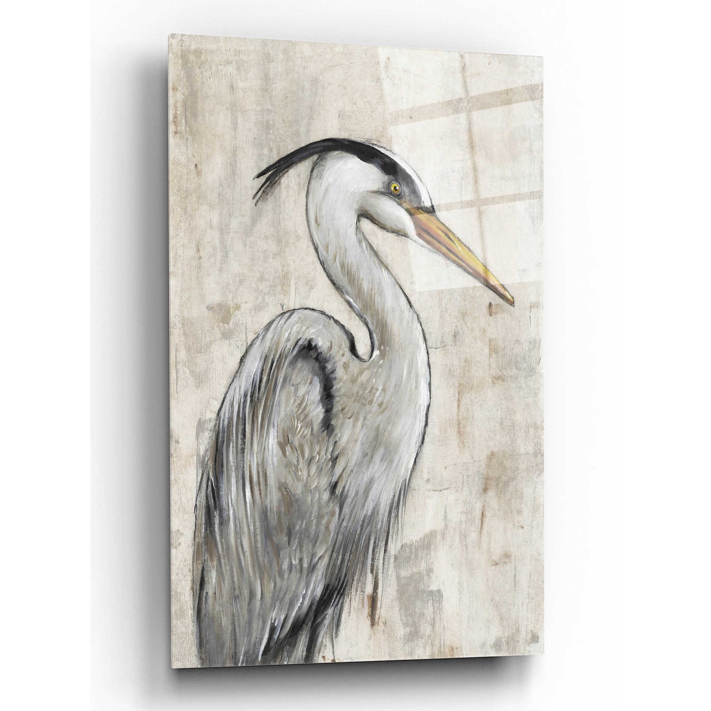 Epic Art 'Grey Heron I' by Tim O'Toole, Acrylic Glass Wall Art,12x16