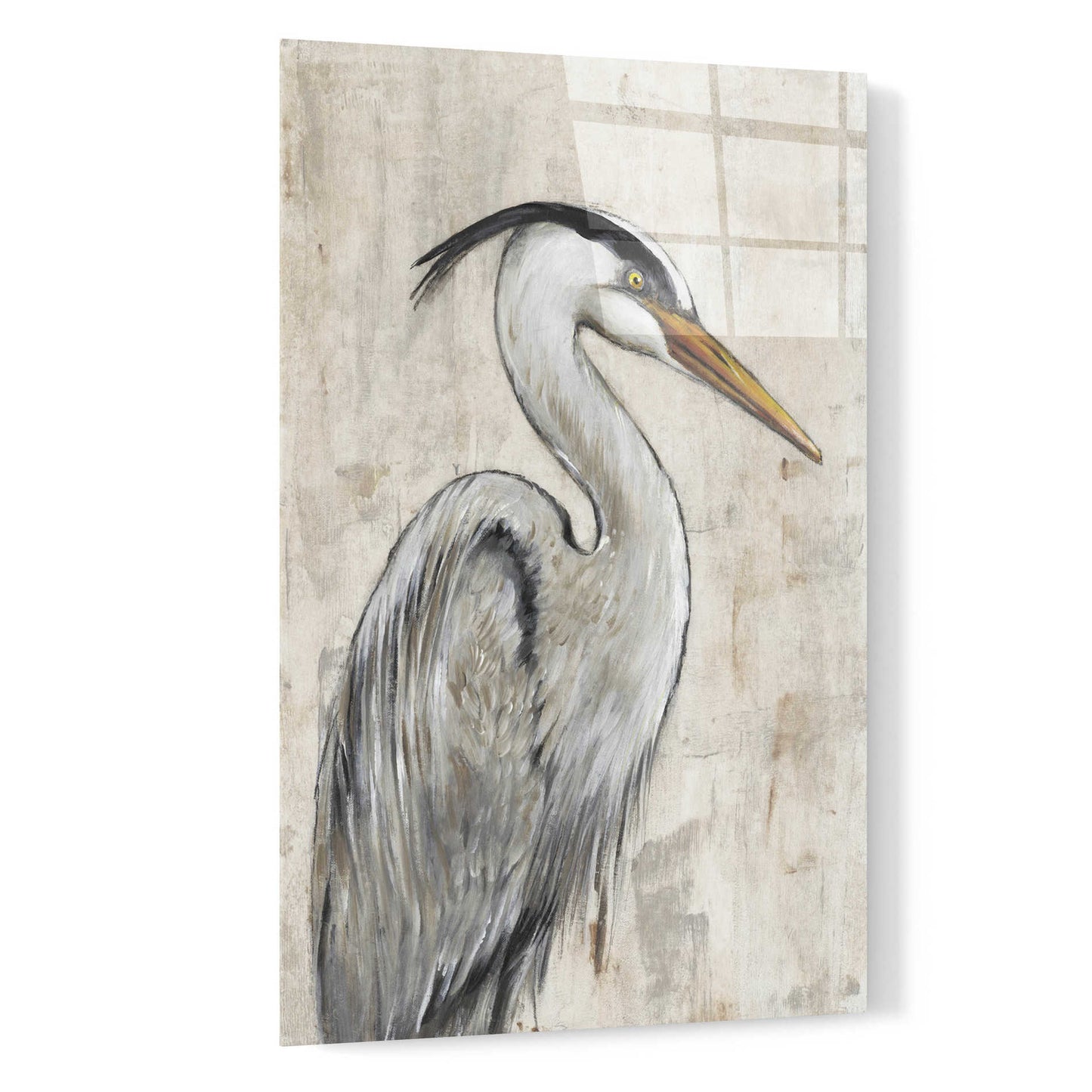 Epic Art 'Grey Heron I' by Tim O'Toole, Acrylic Glass Wall Art,16x24