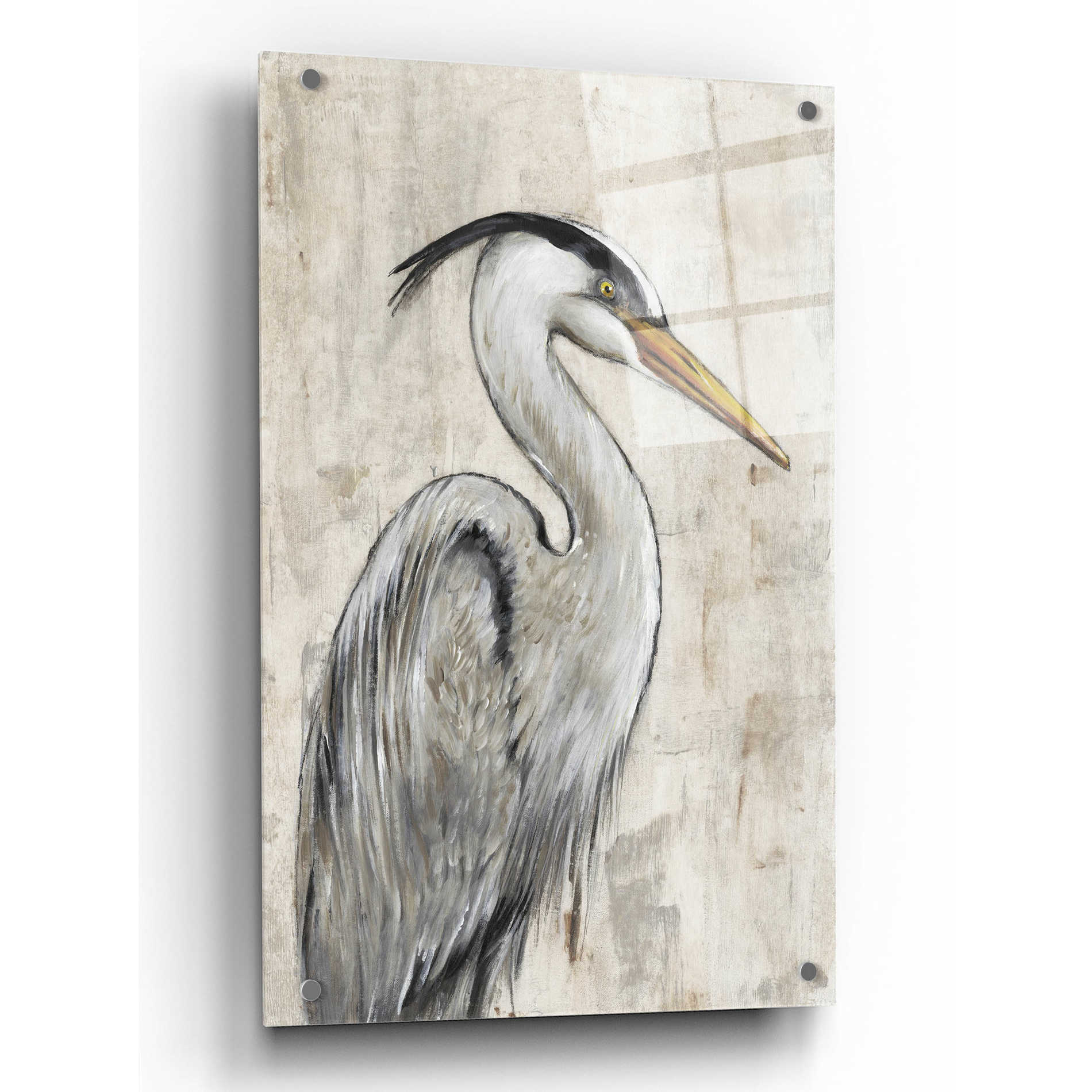 Epic Art 'Grey Heron I' by Tim O'Toole, Acrylic Glass Wall Art,24x36