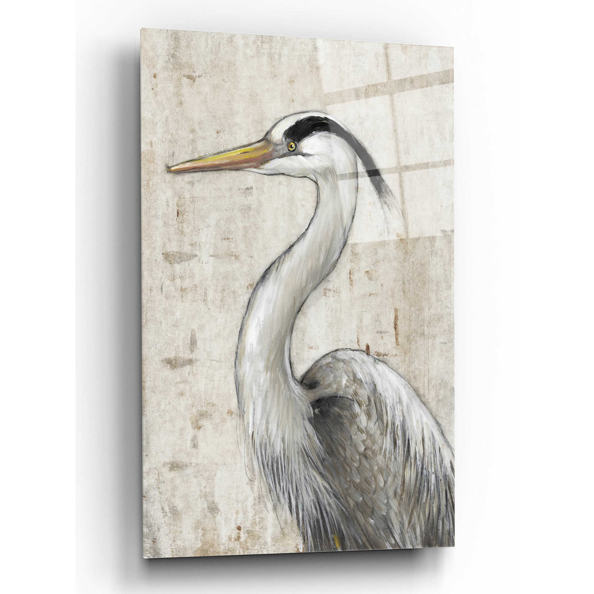 Epic Art 'Grey Heron II' by Tim O'Toole, Acrylic Glass Wall Art,12x16