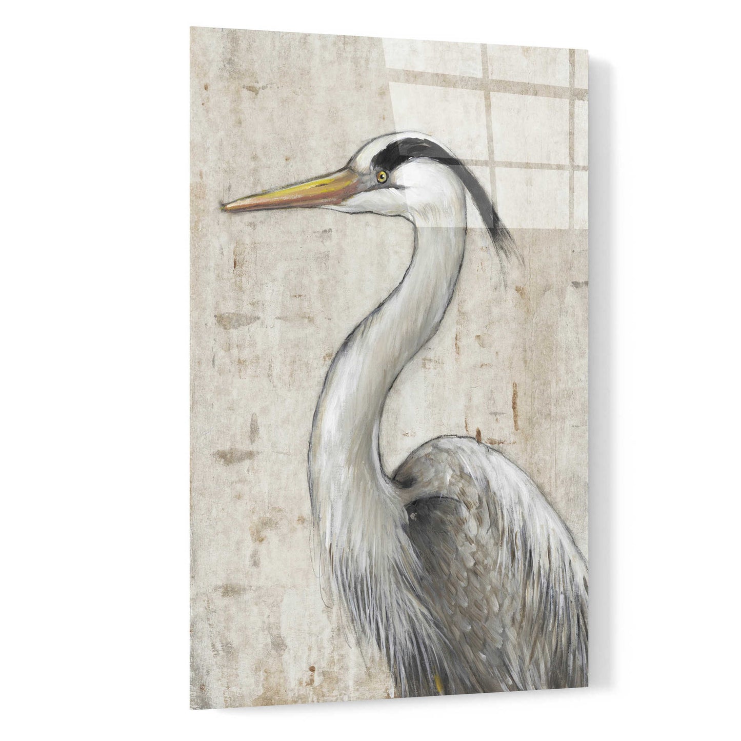 Epic Art 'Grey Heron II' by Tim O'Toole, Acrylic Glass Wall Art,16x24
