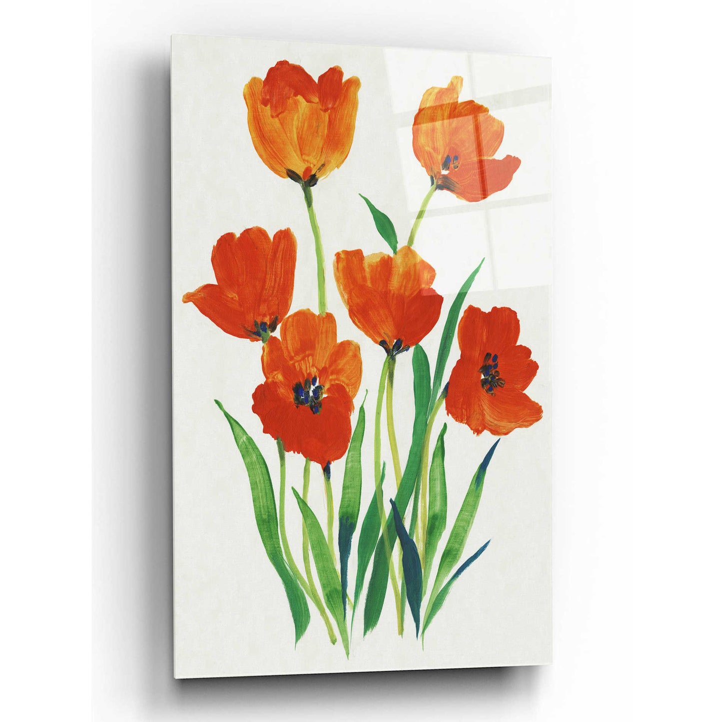 Epic Art 'Red Tulips in Bloom I' by Tim O'Toole, Acrylic Glass Wall Art,12x16