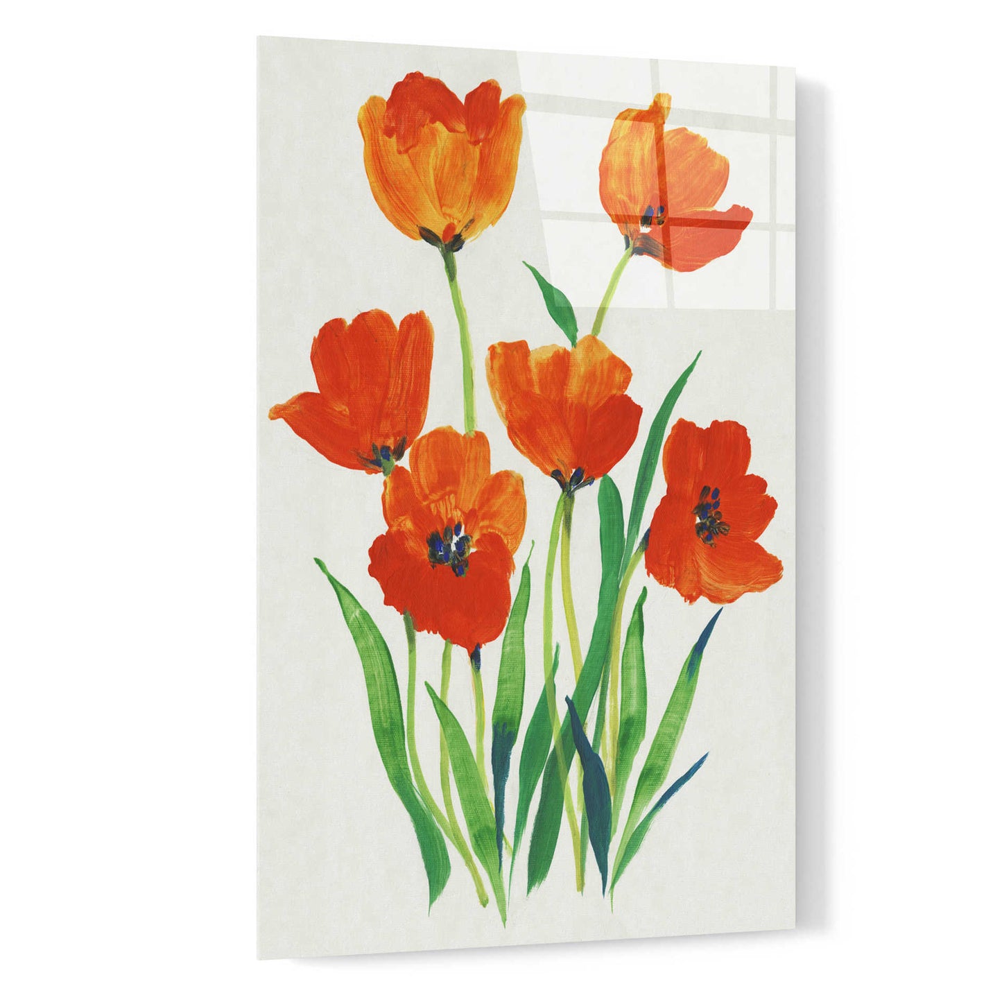 Epic Art 'Red Tulips in Bloom I' by Tim O'Toole, Acrylic Glass Wall Art,16x24