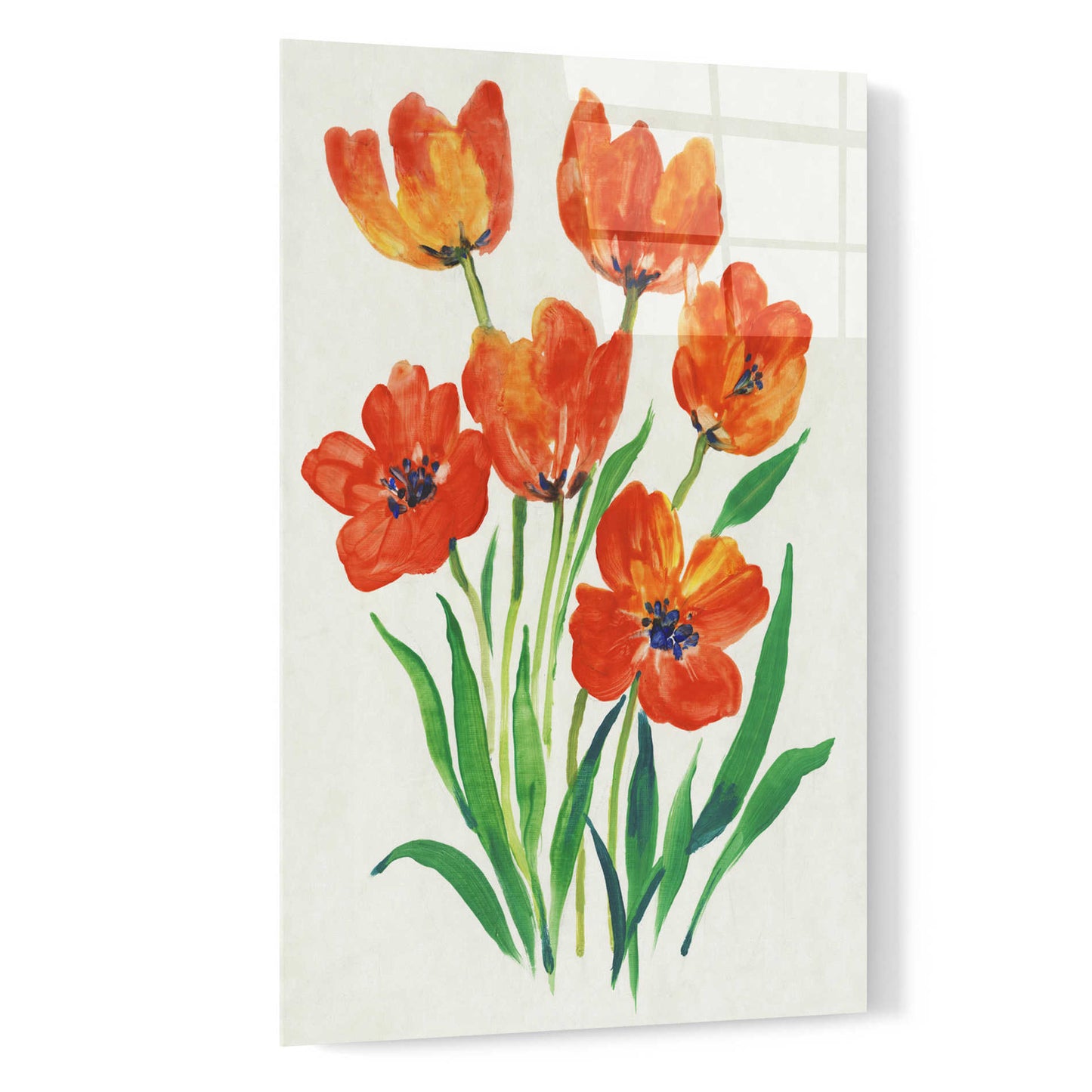 Epic Art 'Red Tulips in Bloom II' by Tim O'Toole, Acrylic Glass Wall Art,16x24