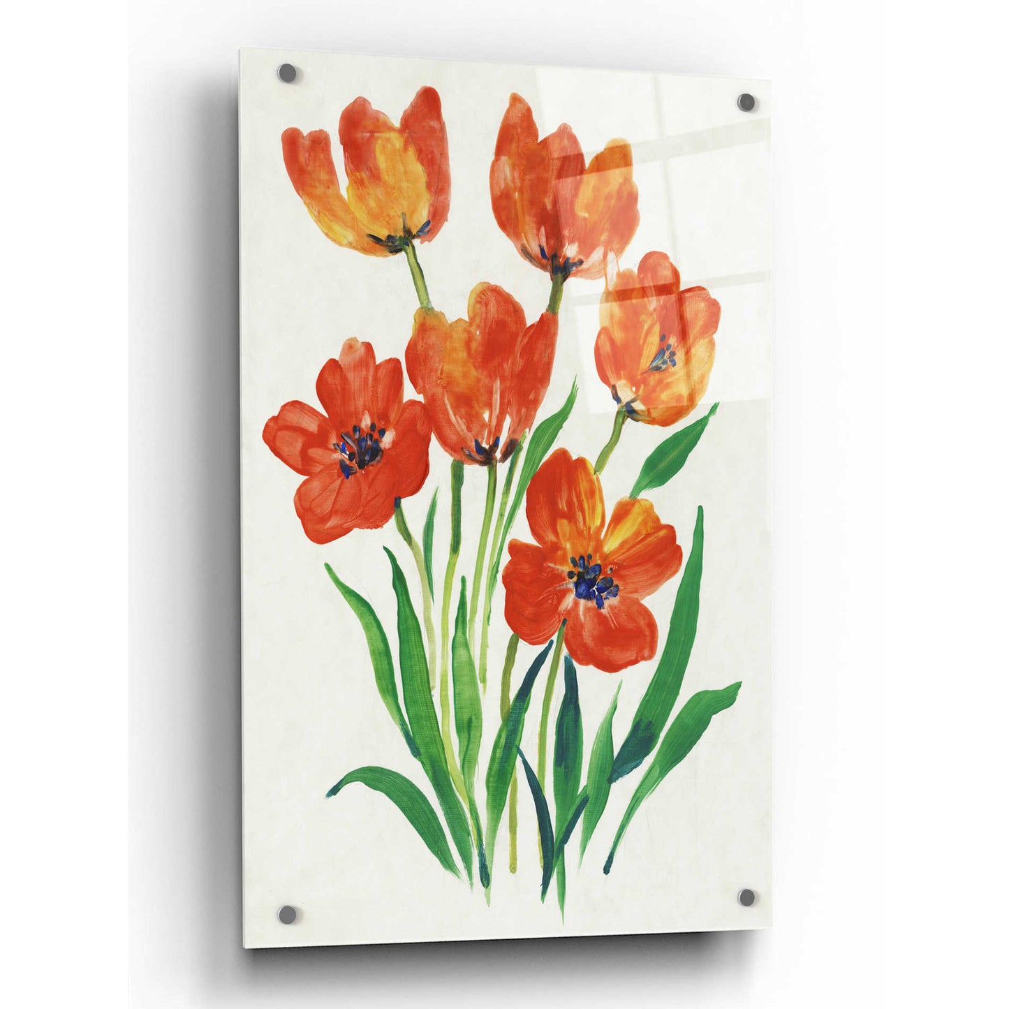 Epic Art 'Red Tulips in Bloom II' by Tim O'Toole, Acrylic Glass Wall Art,24x36