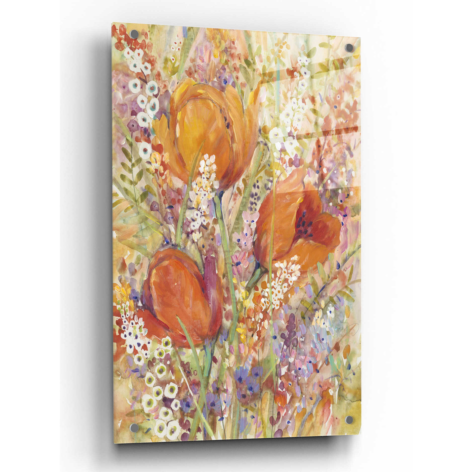 Epic Art 'Spring Bloom I' by Tim O'Toole, Acrylic Glass Wall Art,24x36