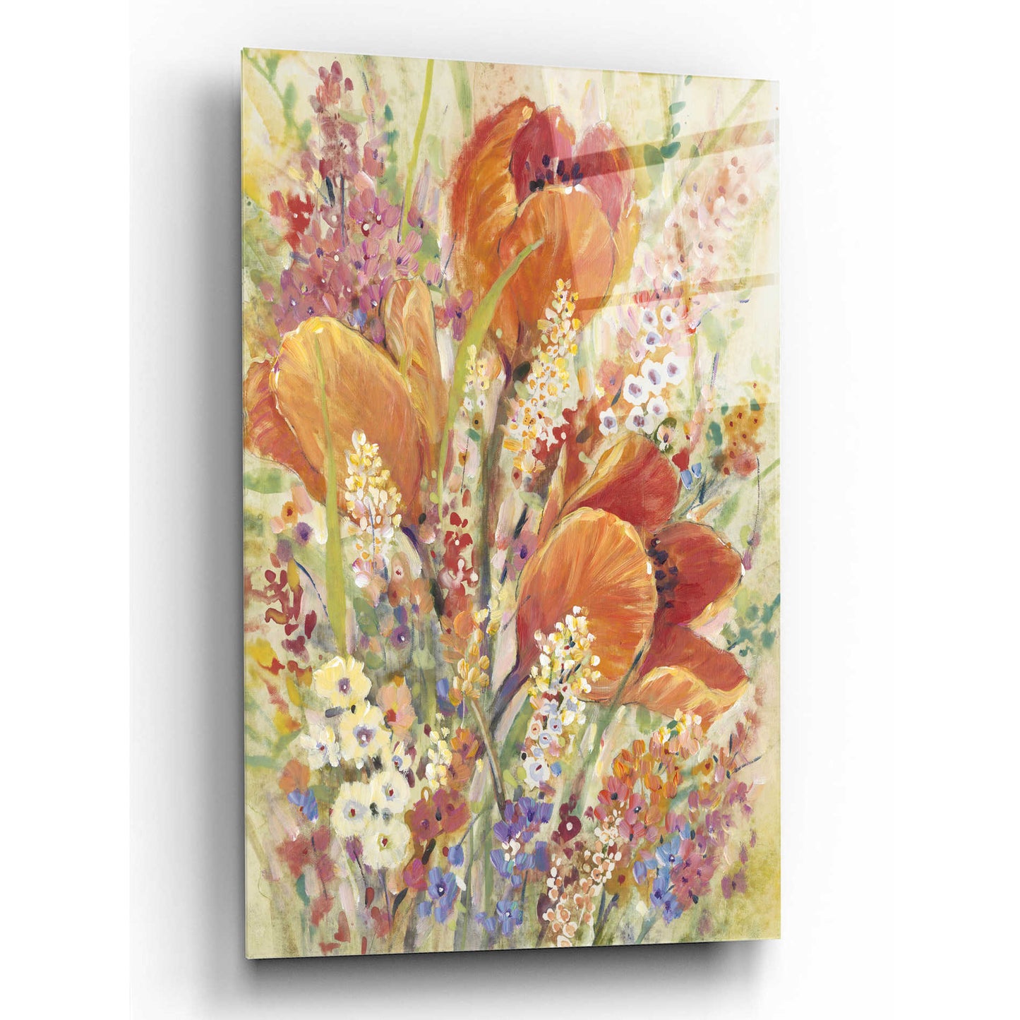 Epic Art 'Spring Bloom II' by Tim O'Toole, Acrylic Glass Wall Art,16x24