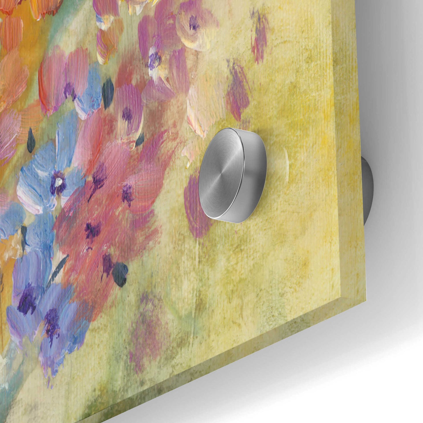 Epic Art 'Spring Bloom II' by Tim O'Toole, Acrylic Glass Wall Art,24x36