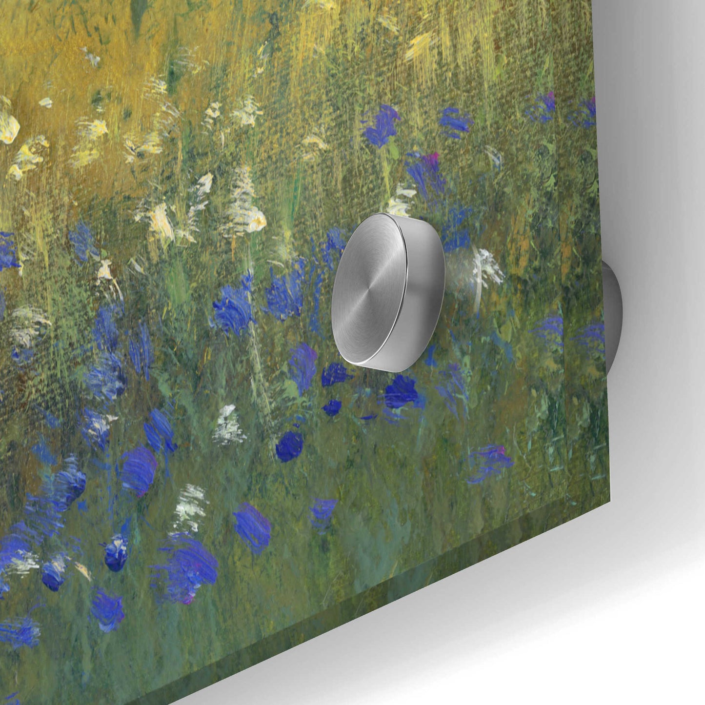 Epic Art 'Standing in the Field II' by Tim O'Toole, Acrylic Glass Wall Art,24x36