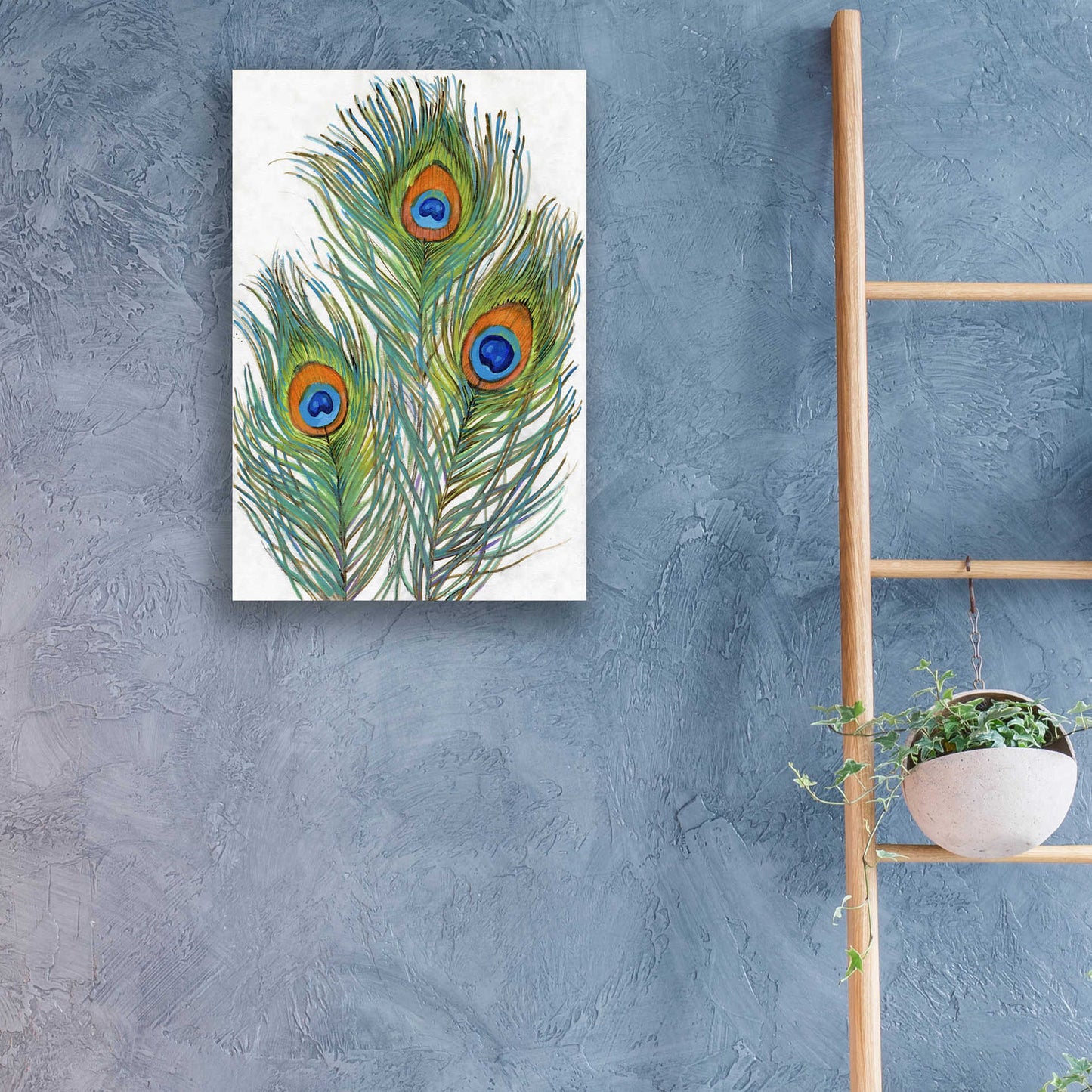 Epic Art 'Vivid Peacock Feathers II' by Tim O'Toole, Acrylic Glass Wall Art,16x24